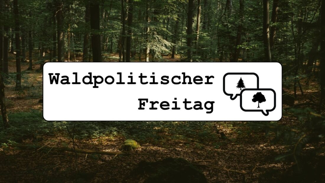 Titelbild zur Veranstaltung "Waldpolitischer Freitag"