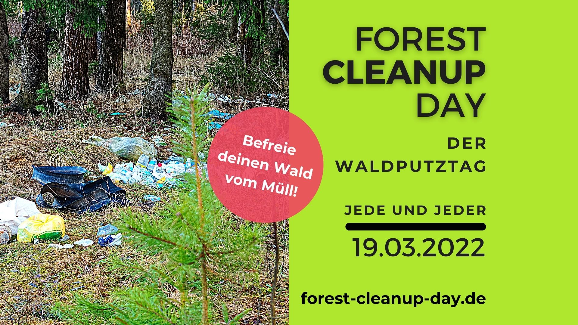Forest Cleanup Day Der Waldputztag