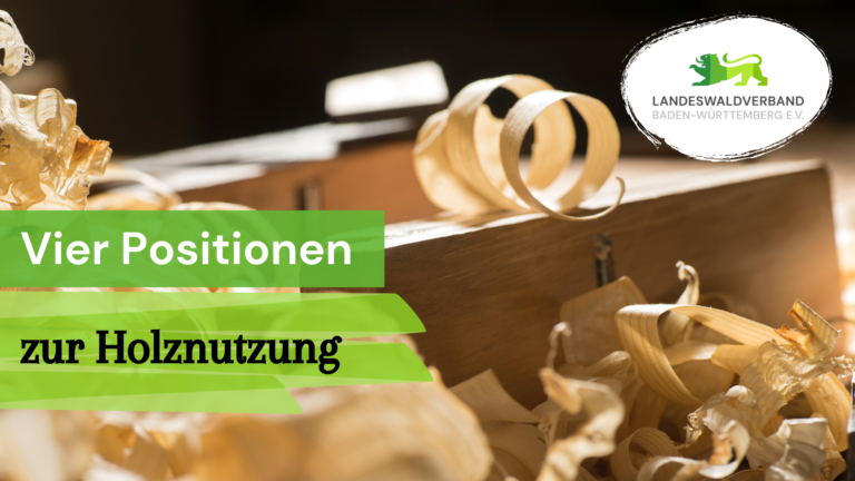 Positionen des Landeswaldverbands zur Holznutzung
