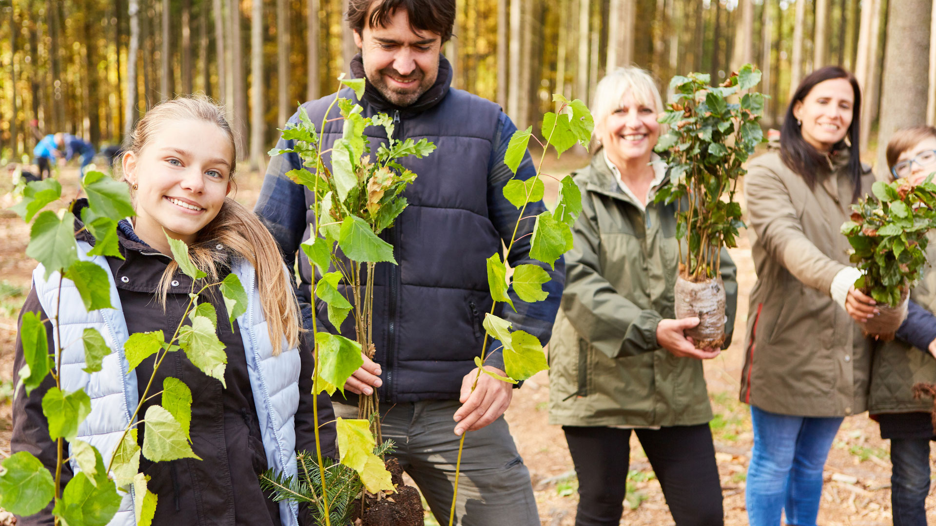 Baumpflanzung: Linde, Eiche & Buche