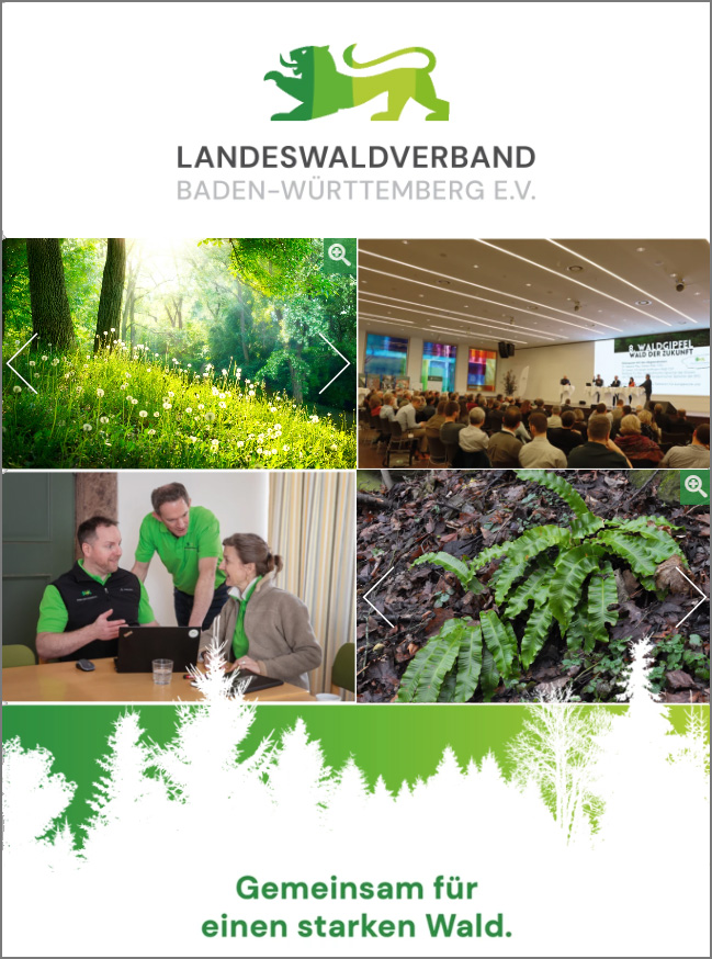 Landeswaldverband Broschüre - Online lesen