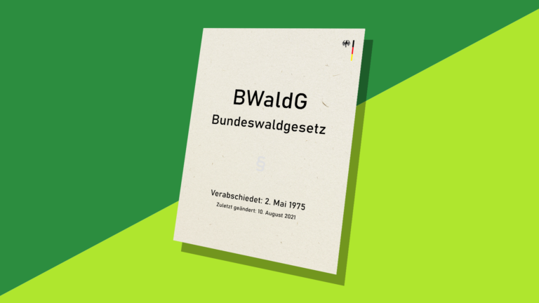 Bundeswaldgesetz-Novelle: Position des Landeswaldverbands