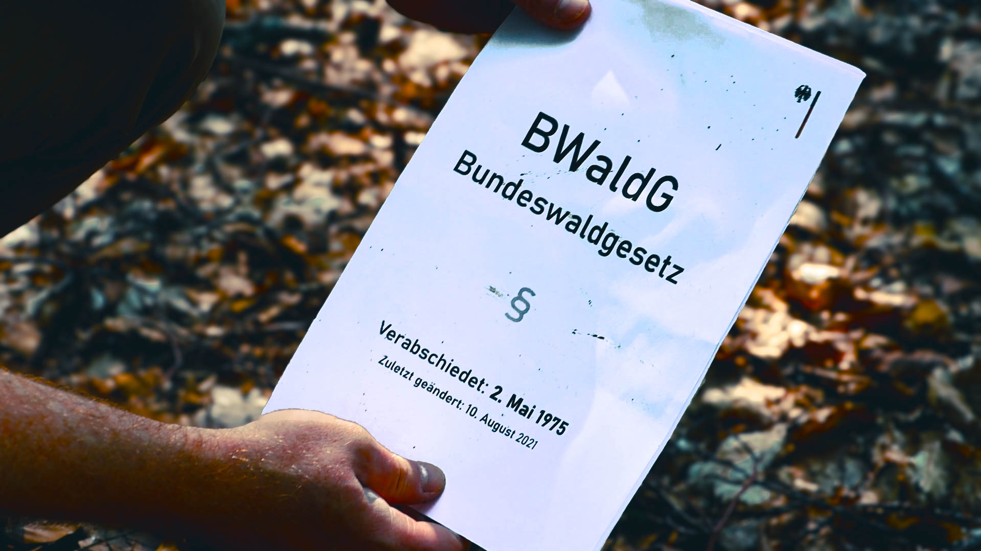 Bundeswaldgesetz vor Waldszenerie