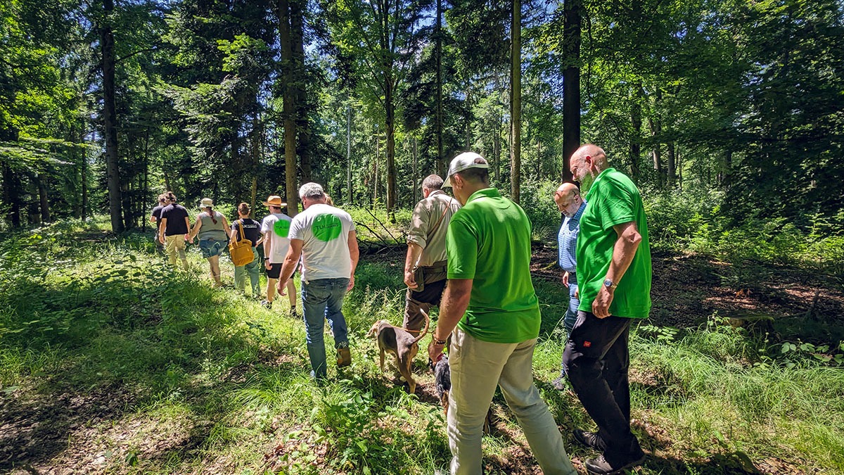 Landeswaldverband & Technikum Laubholz im Gemeindewald Wimsheim
