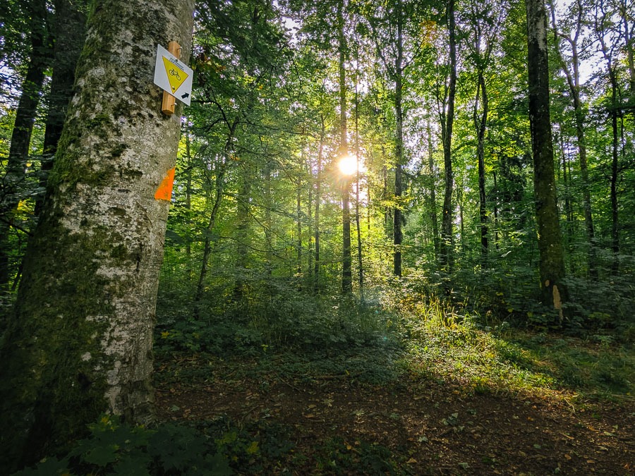 Erholungswald Westerlau in Laichingen
