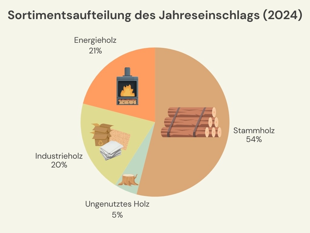 Schaubild zur Sortimentsaufteilung der Holznutzung in Deutschland 2024