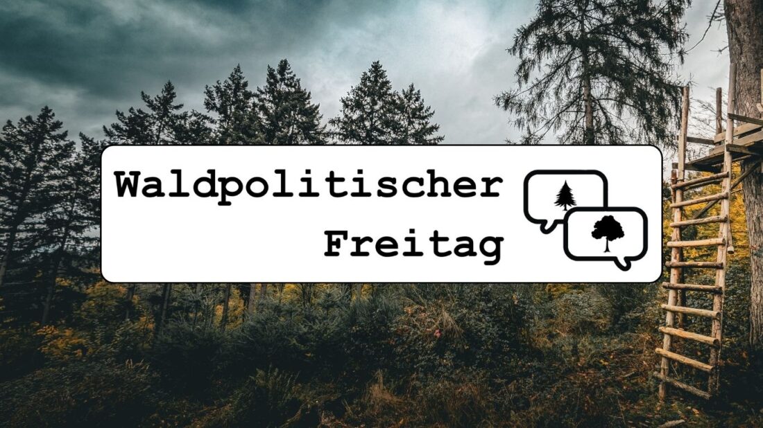 Titelbild zur Veranstaltung Waldpolitischer Freitag zum Thema "Jagdgenossenschaften"