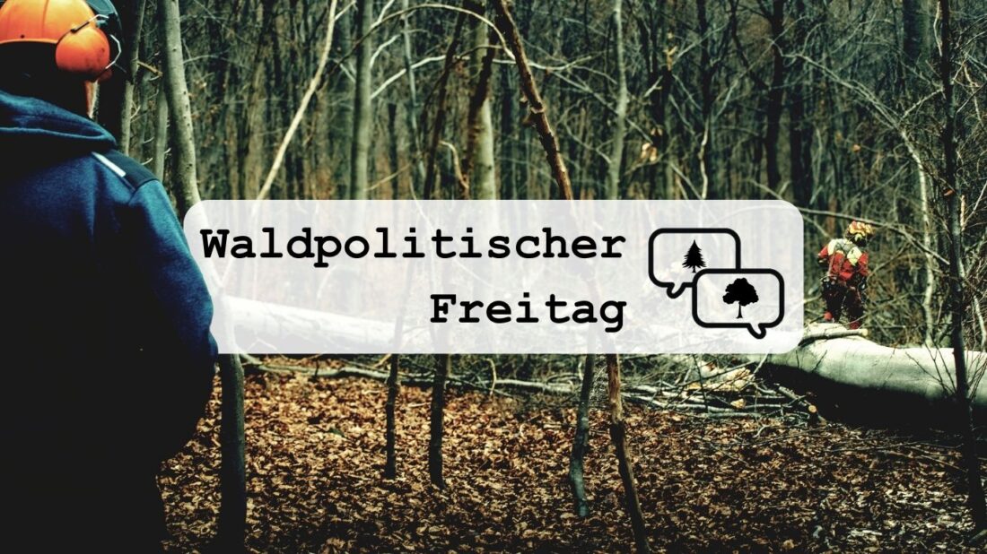 Titelbild zur Veranstaltung Waldpolitischer Freitag zum Thema "Zukunft der Forstberufe"