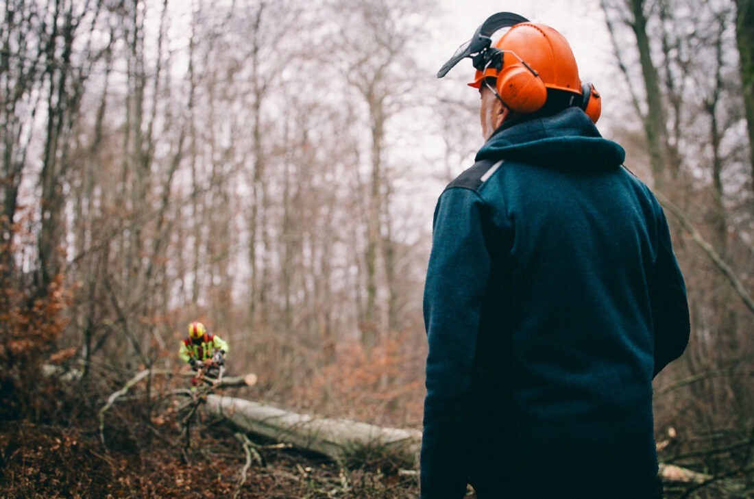 Forstrevierleiter und Forstwirte bei der Durchforstung