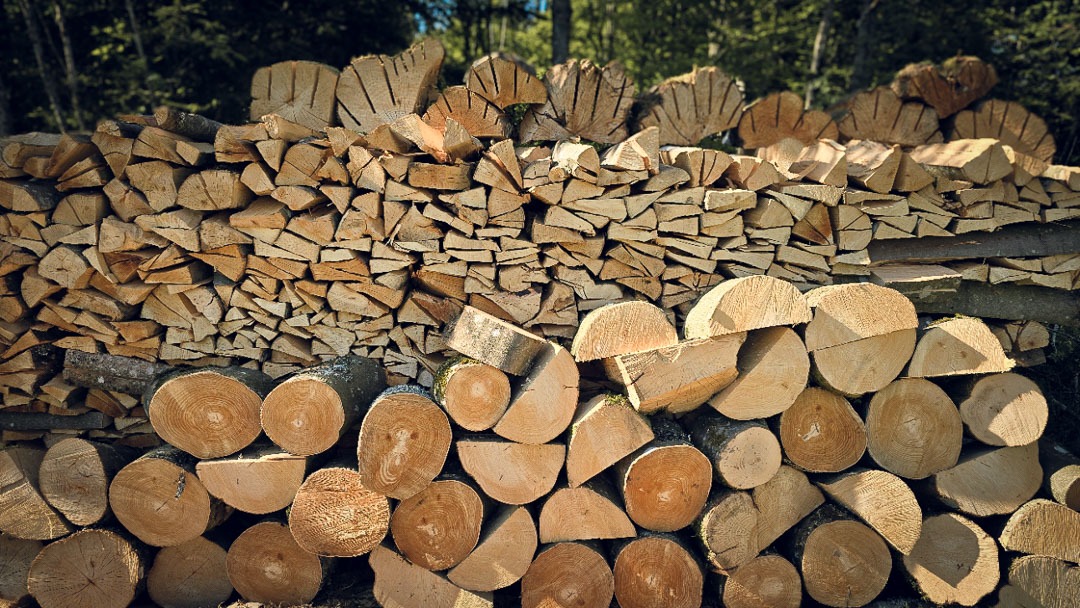 Holzenergie als Beitrag zur klimapolitischen Energiewende: Stapel aus Holzscheiten im Wald