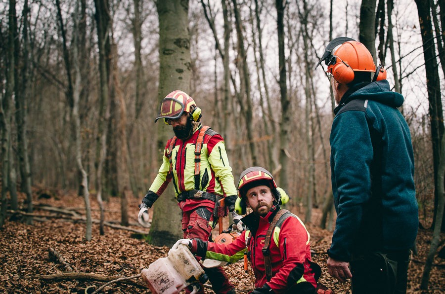 Forstwirte bei Forstarbeiten im Wald