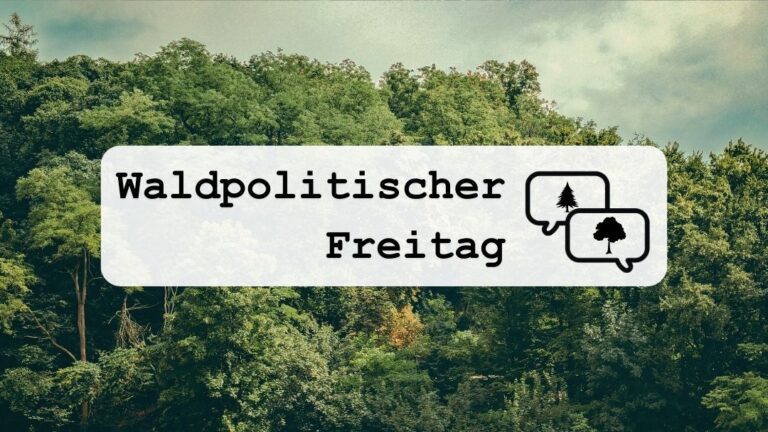 Waldpolitischer Freitag