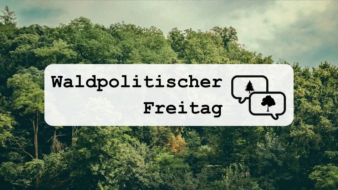 Waldpolitischer Freitag
