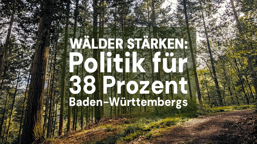 Forderungskatalog zur Landtagswahl 2026: Wälder stärken