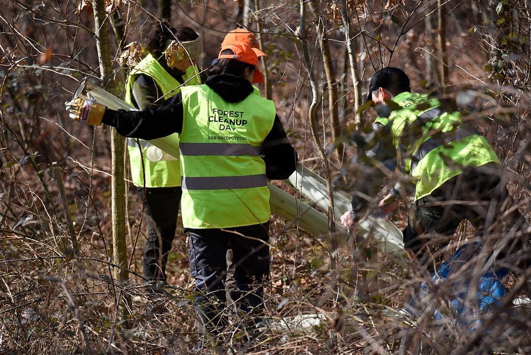 Waldputz im Jahr 2022
