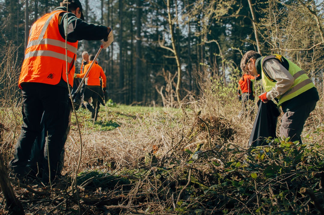 ForstBW: Waldputz in Obrigheim