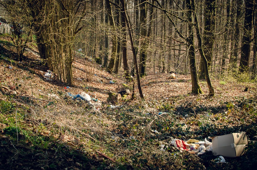 Müll im Wald hinter dem Hobergrastplatz bei Obrigheim