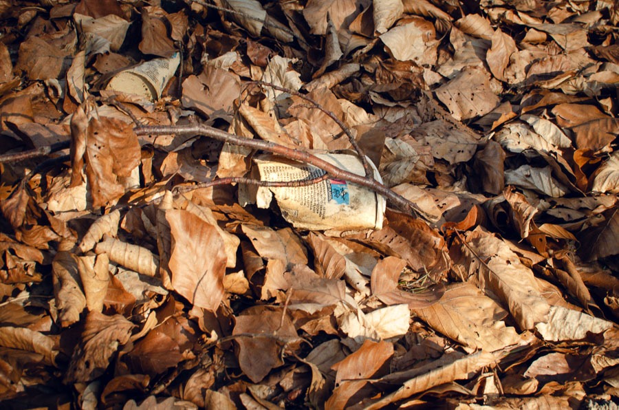 Pappbecher zwischen Laub im Wald