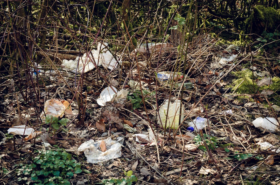 Müll im Wald