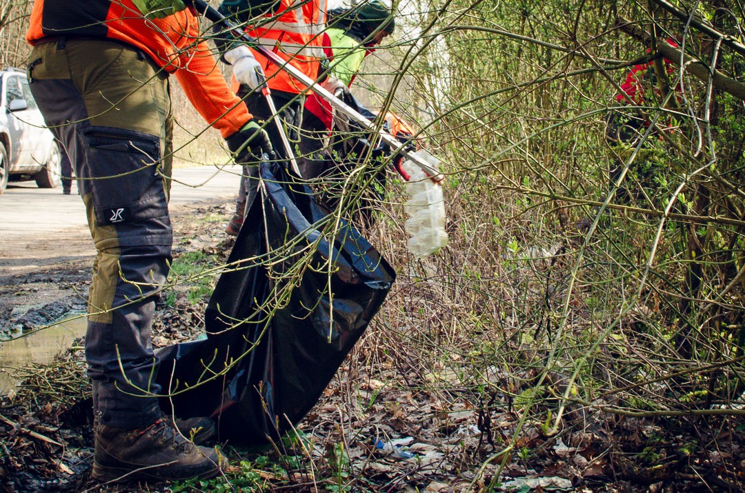 Waldputz im Jahr 2026