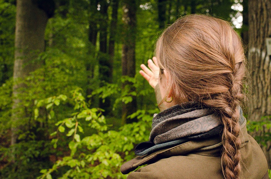 Catharina Hehn-Ziegler: Blick in die Zukunft des Waldes