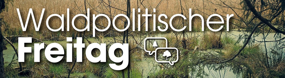 Waldpolitischer Freitag: Waldnaturschutz (Banner)